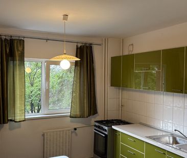 Turda, Mihalache, Domenii, pet friendly - Fotografie 4