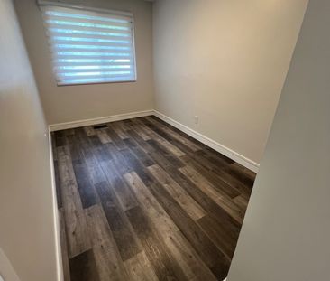 For Lease - 87 Walter Avenue Unit# MAIN, Newmarket, Ontario - Photo 5