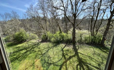 2972 Cliffs Road - Photo 2