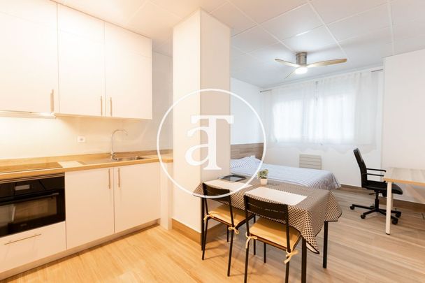 Monthly rental Studio with 1 bedroom, 1 bathroom near green parcs in Latina - Photo 1