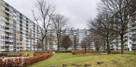 Pahud de Mortangesdreef 3562 Utrecht - Foto 2