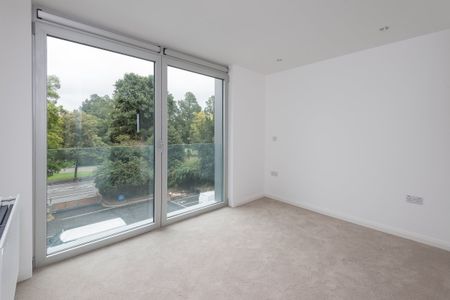 Central Park - Photo 2