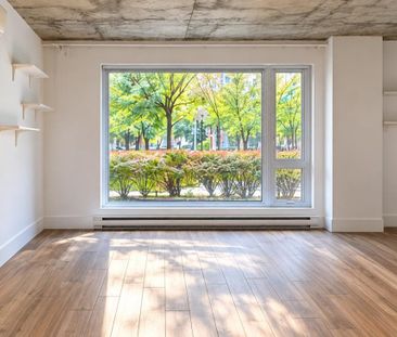 Appartement à louer - Montréal (Ville-Marie) (Centre) - Photo 6