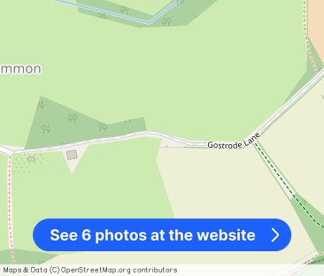 Gostrode Lane, GU8 - Photo 1