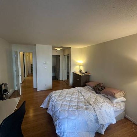 1 Bed 1 Bath - Apartment - Photo 3