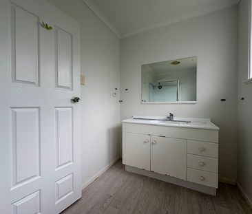 12 Sullivan Ave, Mangere Bridge, Auckland - Photo 5