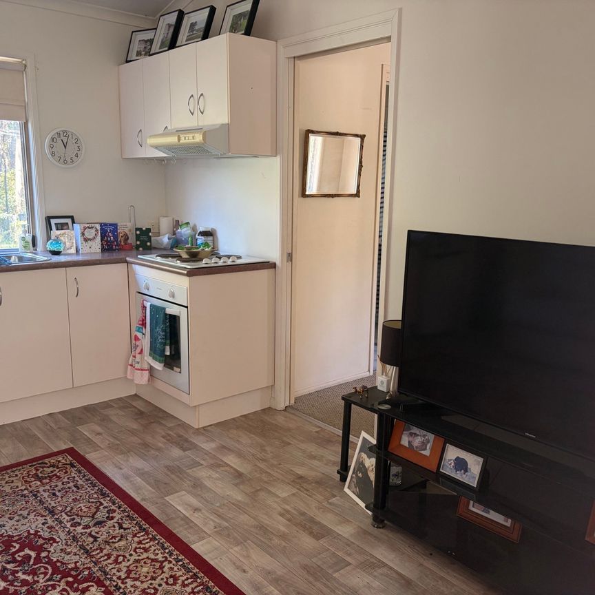 Springfield - Photo 1