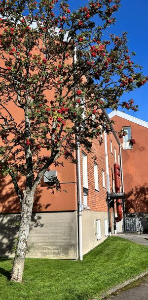 Klintvägen 25 - Foto 1