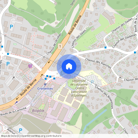 Chemin des Boveresses 166, 1066 Epalinges