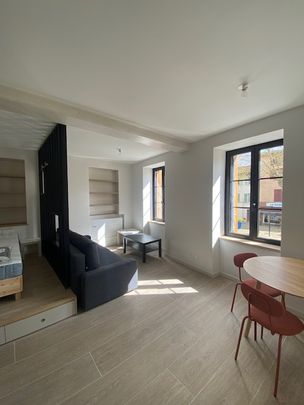 Location Appartement 1 pièce 28m² BRIGNAIS 69530 - Photo 1