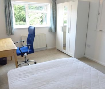 North Park Avenue - Photo 3