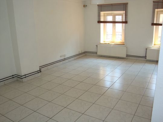 APPARTEMENT - 51 m2 - 2 pièces rue d Or à SARREGUEMINES 57200 - Photo 1