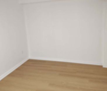 For Lease - 4383 Radisson Crescent Unit# Lower Level, Mississauga, ... - Photo 4