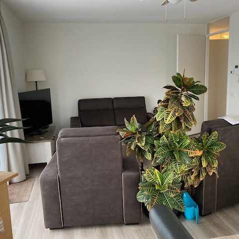 Hallehuis 31 - Foto 1