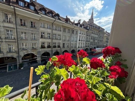 21/2-ROOM APARTMENT IN BERN - OLD CITY, FURNISHED, TEMPORARY - Photo 1