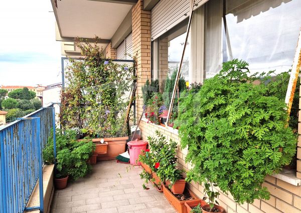 Appartamento Bilocale in Affitto con ampio balcone