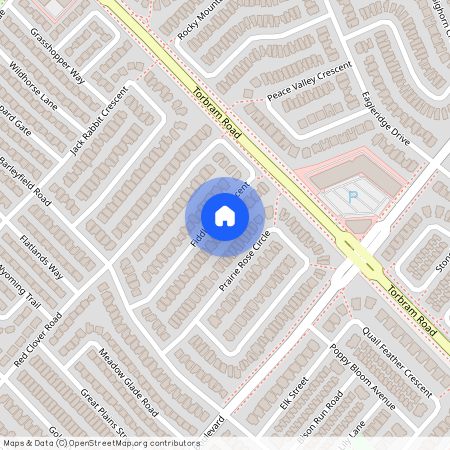 39 Fiddleneck Crescent, Brampton