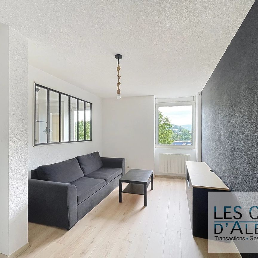 Location Appartement 2 pièces 49m² VIENNE 38200 - Photo 1