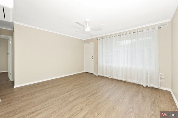 Updated Two Bedroom Unit in Brown Hill - Photo 1