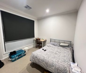 Hectorville - Photo 5