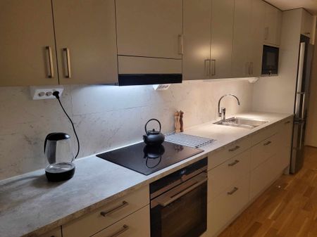 Carlsgatan, Malmö - Foto 5