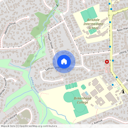 15 Saffron Street, Birkdale, Auckland