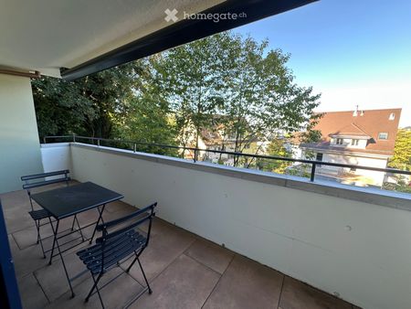 Apartment close to Irchelpark - Foto 4