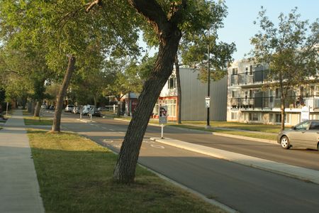 Homestead Manor - Photo 2