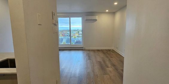 1 CH - 1 SDB - Montréal - $1,295 /mo - Photo 3