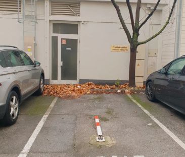 Drei Zimmerwohnung mit verglaster Loggia! - Foto 3