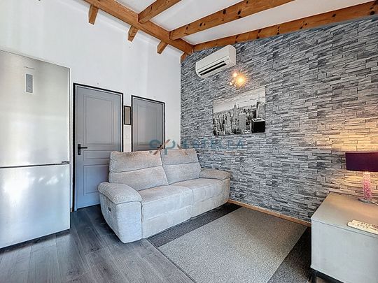 T2 meublé avec jardin et terrasse Tavera, - Photo 1