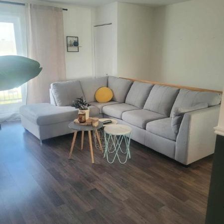 4 1/2 - Saint-Jean-Chrysostome - 965 $/mois - Photo 4