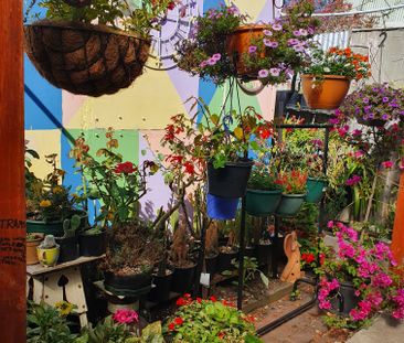 Collingwood - Photo 3