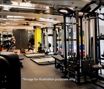 Studio Silver - Photo 6