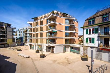 Rent a 3 ½ rooms apartment in Affoltern am Albis - Photo 2