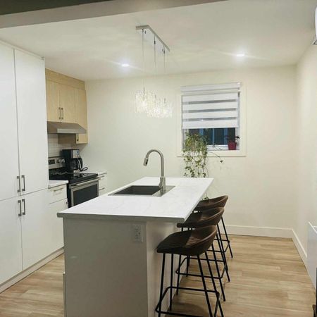 Magnifique 5 1/2 secteur limoilou ( Maizeret ) rénové 100% - Photo 3