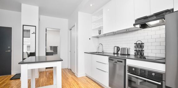 #201, Furnished Loft - 4521 Ave Clark, Montréal - Photo 2