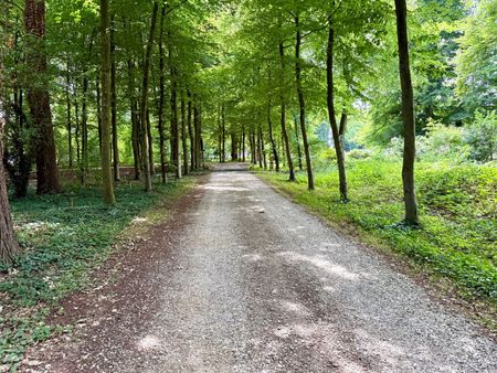 Edeseweg 128, Dikkenberg, 6721KE, Bennekom - Foto 3
