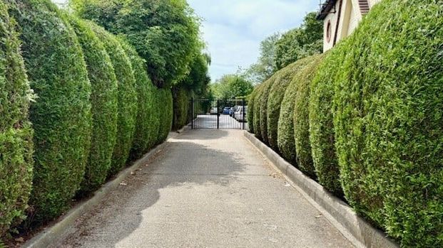 Savill Row Woodford Green IG8 - Photo 1