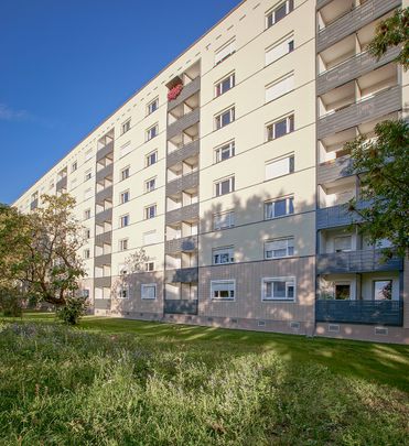 2-Zimmer Mietwohnung - Pirnaische Vorstadt - Photo 1