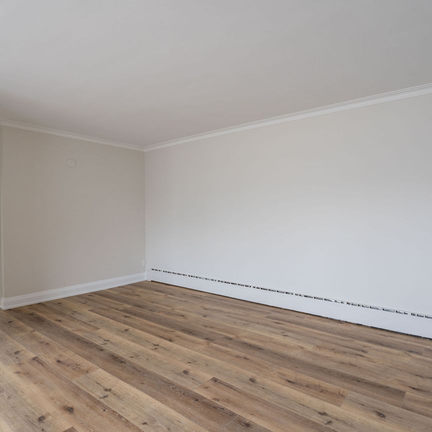For Lease - 366 Royal York Road Unit# 1, Toronto, Ontario - Photo 1