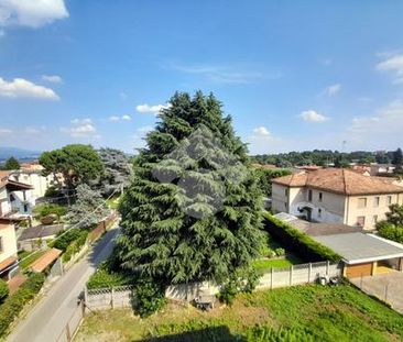 Bilocale in affitto - Photo 2