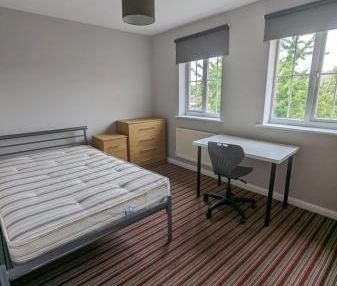 Dragon Road - Photo 3