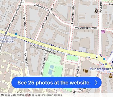 Exklusive Dachterrassen-Traumwohnung in Bogenhausen - Photo 1