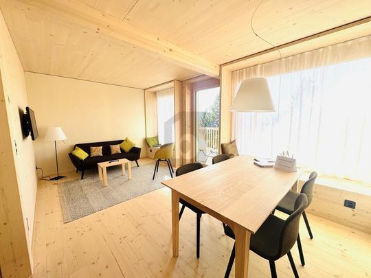 WONDERFUL VIEW ON THE RIGI - Photo 1