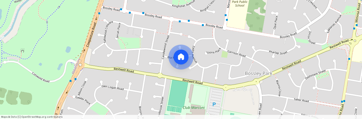 1A Parr Close, NSW 2176, Bossley Park