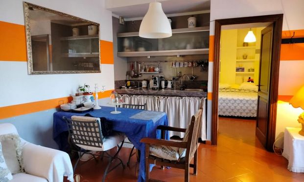 Appia Antica: charming 1 Bedroom furnished flat, recently renovated, immersed in 2 hectares of countryside. Liiving room, small kitchen, bedroom, bathroom, AC, parking space. Located in the archeological site of Via Appia Antica #2324 - Photo 1