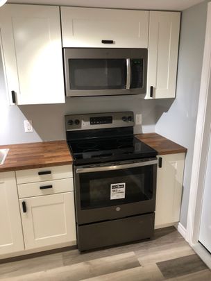 For Lease - 22 Patterson Avenue Unit# Lower, Brantford, Ontario - Photo 1