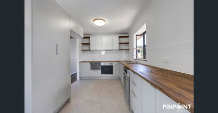 Highset Coastal Gem walking distance to Lamberts Beach - Photo 4