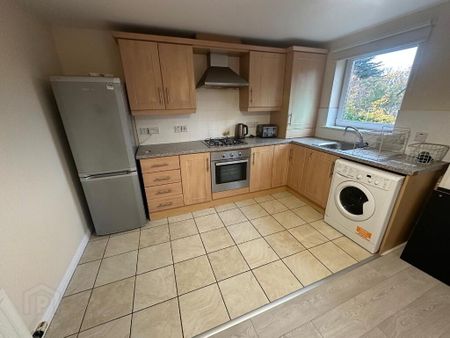 31 Glenmount Manor, Newtownabbey, BT36 7RH - Photo 4